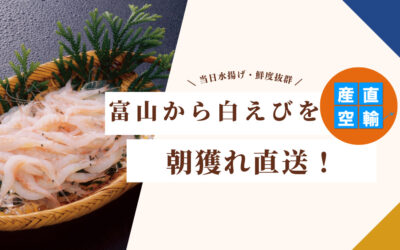 【イベント情報】2023.10.21（土）　富山県産白えび販売@阪急百貨店 大井食品館